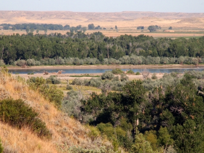 [Vegetation in foreground and background with river in the middle. In the far distance are canyon walls.]